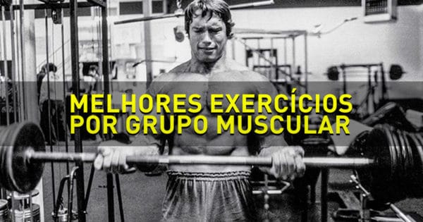 [INFOGRÁFICO] Melhores Exercícios Por Grupo Muscular