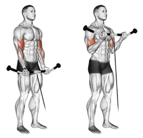 Pessoa realizando rosca direta na polia, trabalhando o desenvolvimento geral dos bíceps