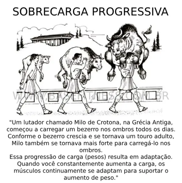 Princípio da sobrecarga progressiva