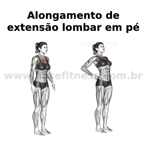 alongamento de extensão lombar em pé